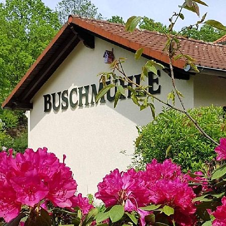 Biohof Buschmuehle Daire Konigsfeld  Dış mekan fotoğraf