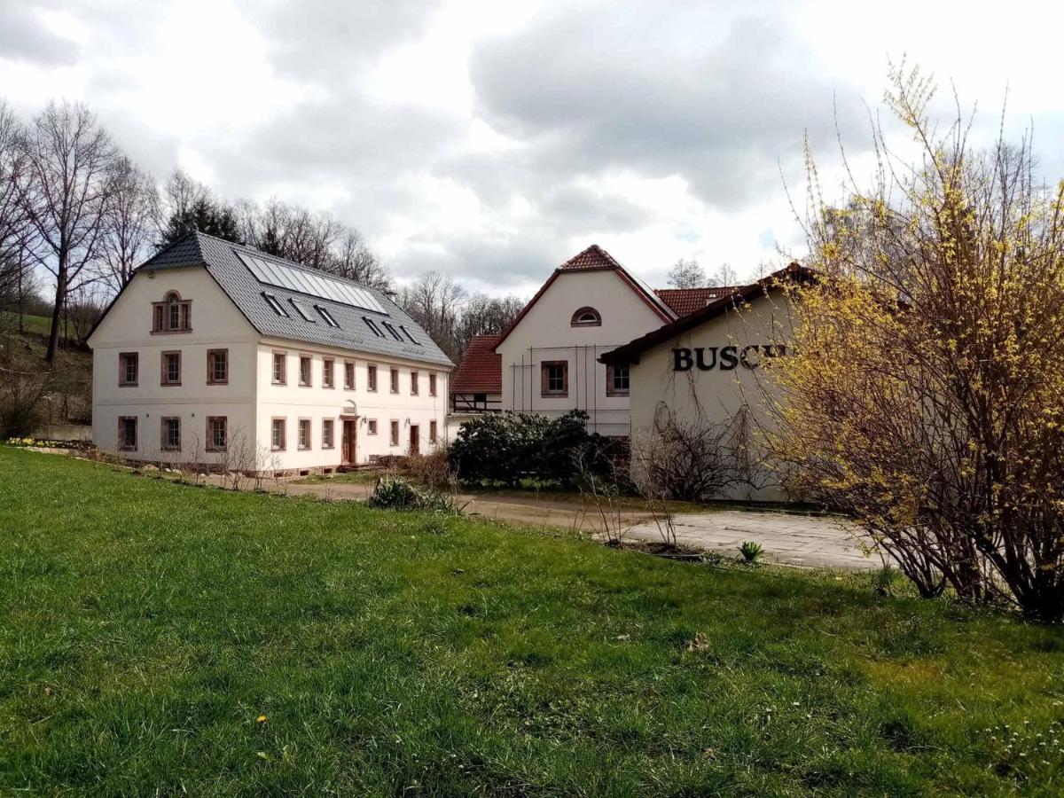 Biohof Buschmuehle Daire Konigsfeld  Dış mekan fotoğraf